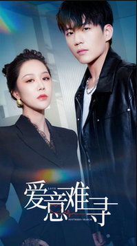 爱意难寻(40集全)杜培源&钟莹玲-搜外项目网