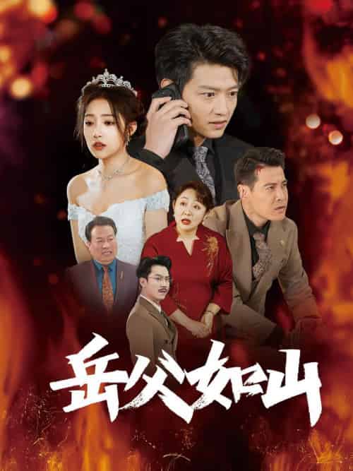 岳父如山＆岳父的礼物（30集全）阚梓艺-搜外项目网