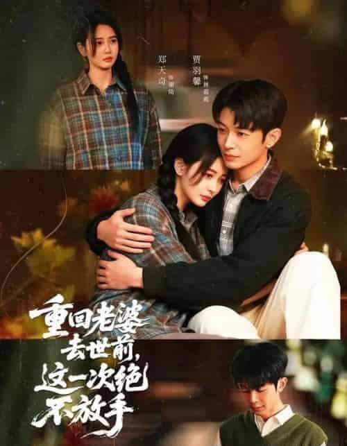 重回老婆去世前,这一次绝不放手(80集全)郑天奇&贾羽馨-搜外项目网