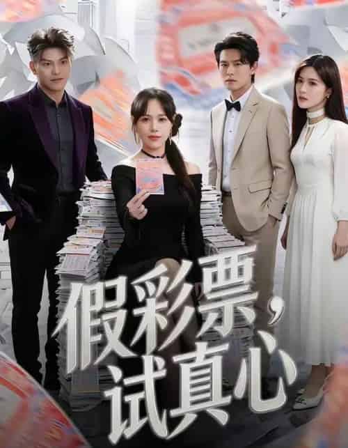 假彩票，试真心（45集全）李启骏＆吕佳玟-搜外项目网