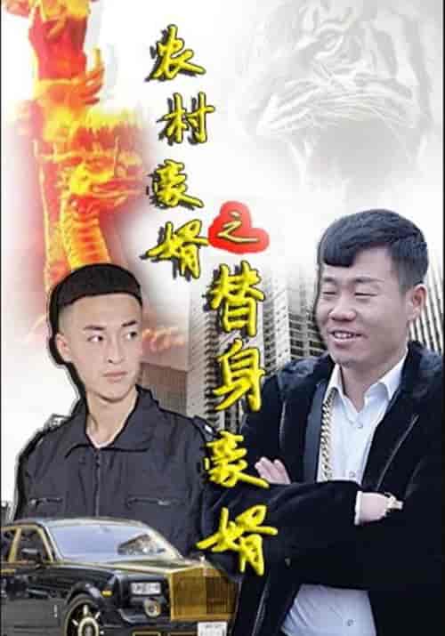农村豪婿之替身豪婿（40集全）王超＆孟瑶-搜外项目网