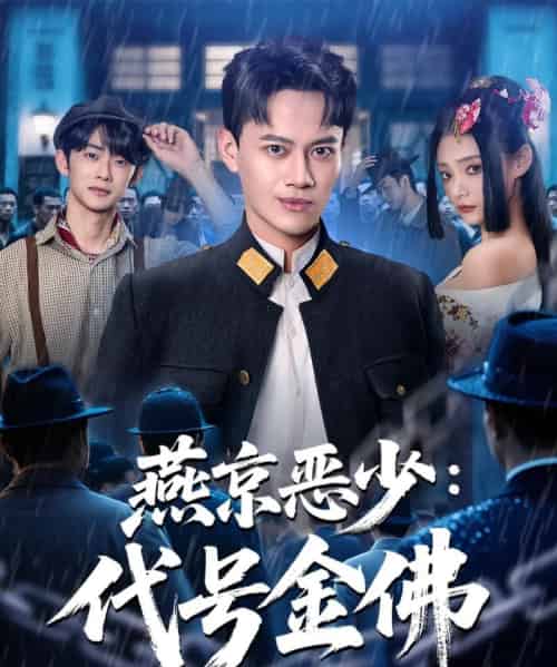 燕京恶少，代号金佛（80集全）徐彬兵＆塔瓦娜-搜外项目网