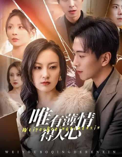 唯有薄情得人心（78集全）伍怡＆傅汉源-搜外项目网