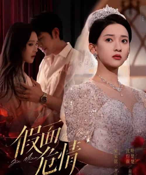 假面危情（80集）王已歌＆蔺瑞雪-搜外项目网