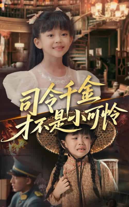 司令千金才不是小可怜(56集)王慧龙&徐安迪-搜外项目网