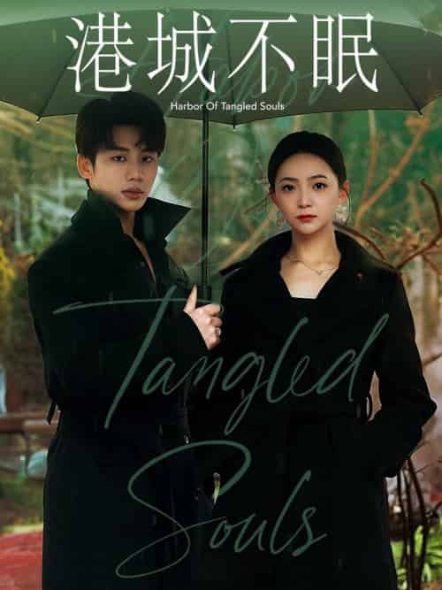 港城不眠（87集全）李子杰＆许丹-搜外项目网