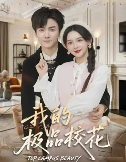 我的极品校花（80集全）刘抒航＆张婉悦-搜外项目网