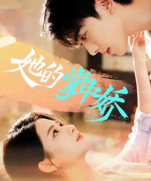 她的掌中娇（62集全）曹竣柯＆高琳琳-搜外项目网