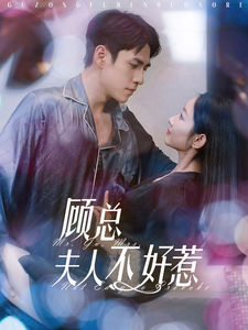 顾总夫人不好惹（80集全）张添景＆孟嘉鑫-搜外项目网