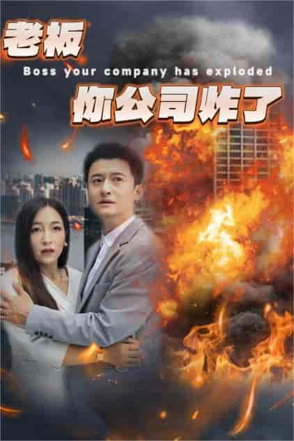 老板你公司炸了(31集)穆青-搜外项目网