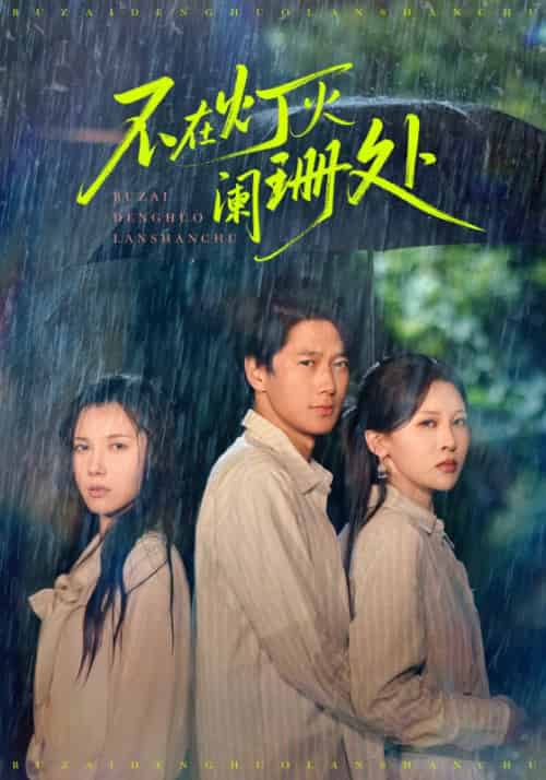 不在灯火阑珊处（74集全）陈舒琪＆张灵钰-搜外项目网