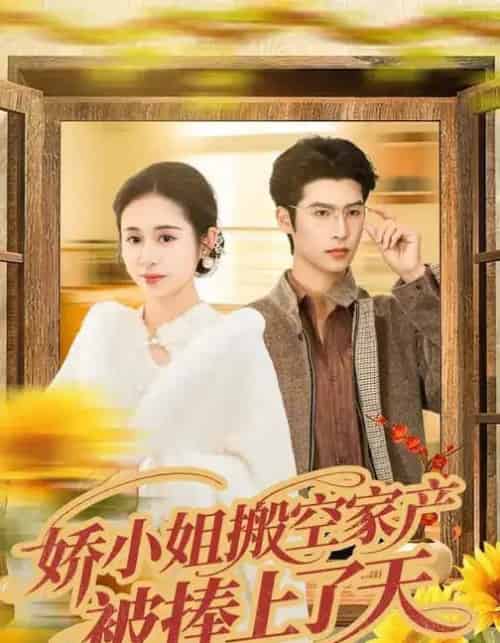 娇小姐搬空家产，被捧上了天（59集全）张心怡＆于颢鑫-搜外项目网