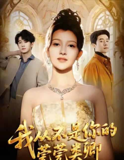 我从不是你的莞莞类卿(88集全)王梓霆&伊拉-搜外项目网