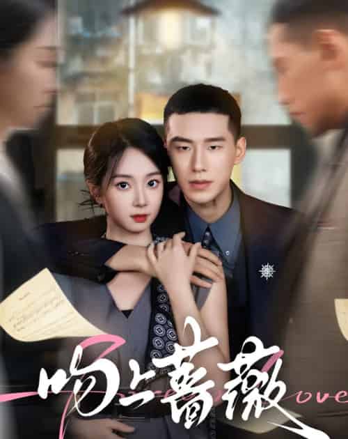吻上蔷薇(85集全)王慧龙&张紫菡-搜外项目网