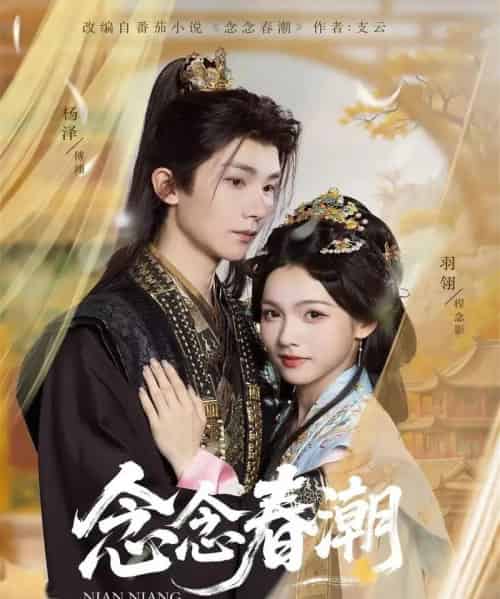 念念春潮(65集全)杨泽&羽翎-搜外项目网