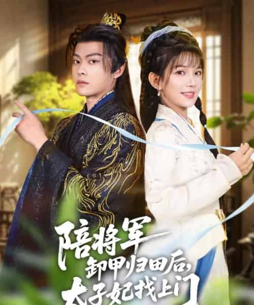 陪将军卸甲归田后，太子妃找上门（60集全）朱芝琳＆朱城玮-搜外项目网