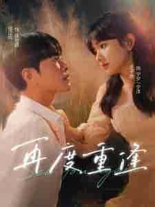 再度重逢（81集）王子怡-搜外项目网