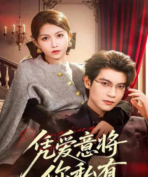 凭爱意将你私有(81集全)吴宇航&贺灵榣-搜外项目网