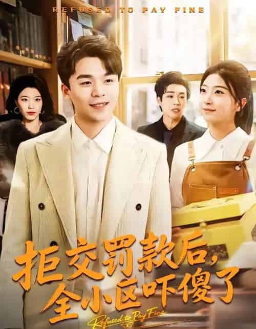 拒交罚款后，全小区吓傻了（46集全）杨巽朝＆连榆-搜外项目网