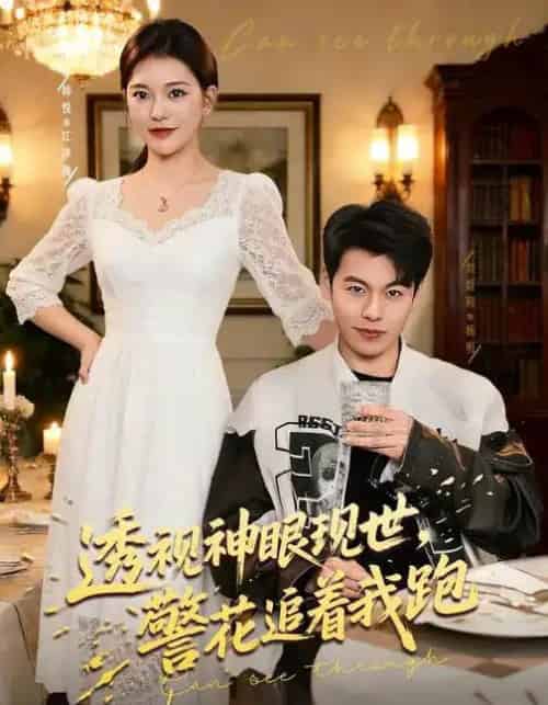 透视神眼现世，警花追着我跑（80集全）韩悦＆刘煜烨-搜外项目网