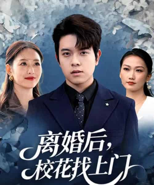 离婚后，校花找上门（80集全）姜沣＆黄斯琪-搜外项目网