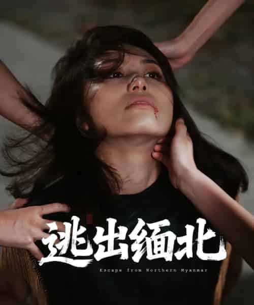 逃出缅北（62集）刘振安＆汪芷萱-搜外项目网