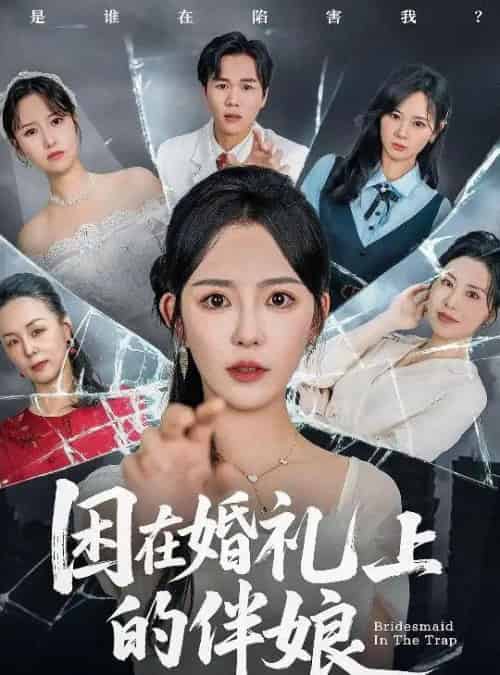 困在婚礼上的伴娘（60集）葛晓希＆宋玉婷-搜外项目网
