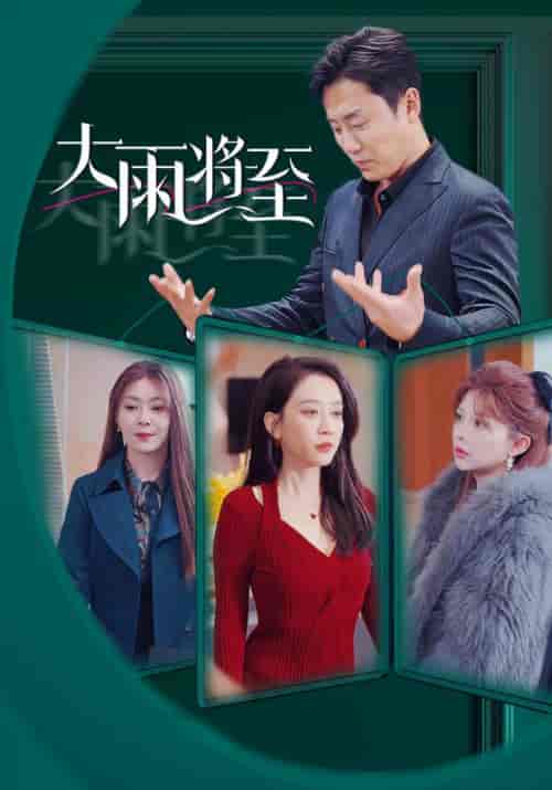 大雨将至（43集全）顾政＆姜晚-搜外项目网