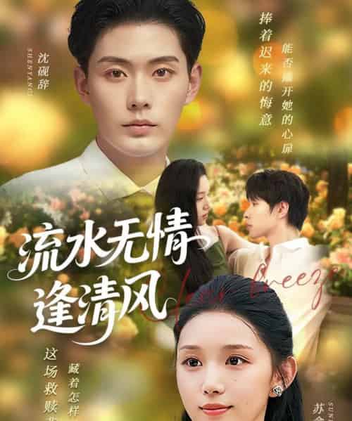 流水无情逢清风 （77集） 代嘉莉-搜外项目网