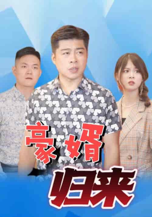 豪婿归来（111集全）林一龙＆程映雪-搜外项目网