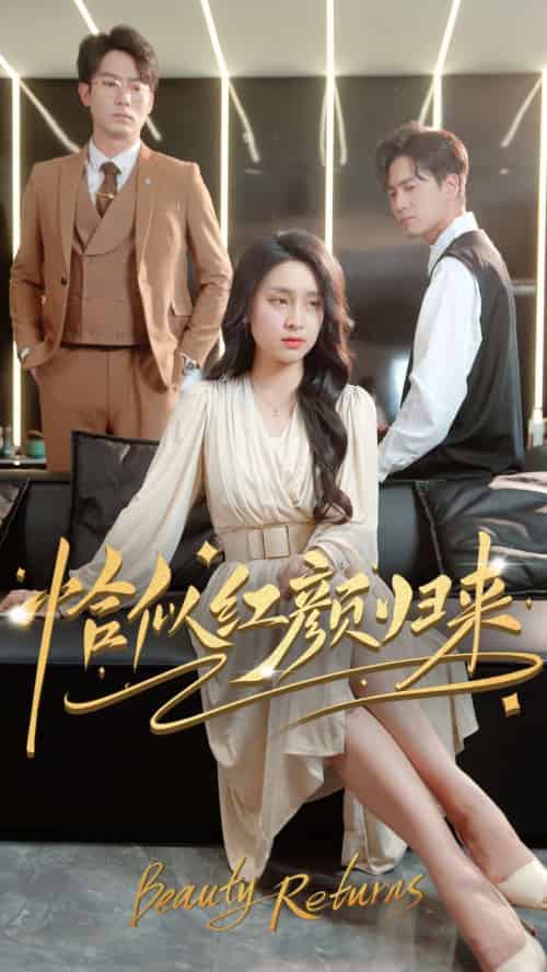 恰似红颜归来(79集全)宋彧佳-搜外项目网