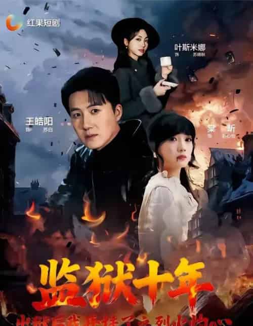 监狱十年，出狱后我开挂了之烈火灼心（80集全）王皓阳＆棠昕-搜外项目网