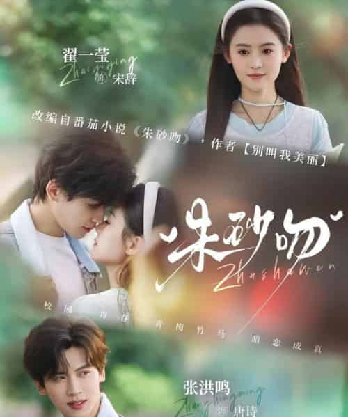 朱砂吻（110集全）翟一莹＆张洪鸣-搜外项目网