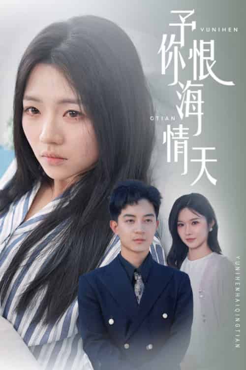 予你恨海情天（30集全）付予＆王子青-搜外项目网