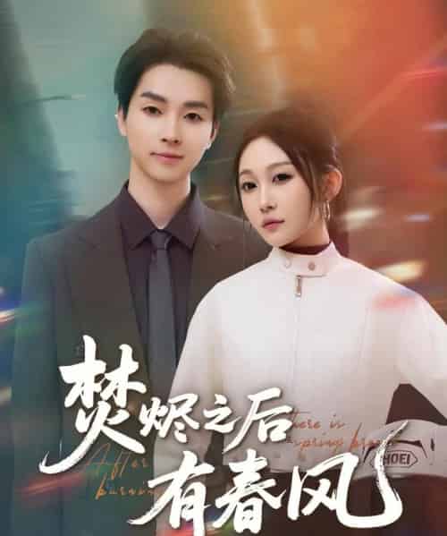 焚烬之后有春风（86集）邓嘉伦＆宋佳音-搜外项目网