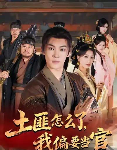 土匪怎么了，我偏要当官（72集全）谭敏儿＆贾翊＆高张博-搜外项目网