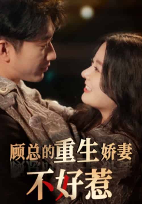 顾总的重生娇妻不好惹（60集）林初-搜外项目网