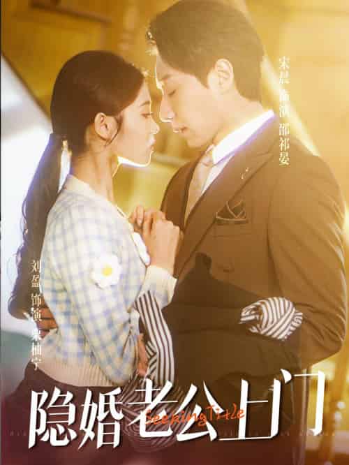 隐婚老公带娃上门（41集）宋晨-搜外项目网