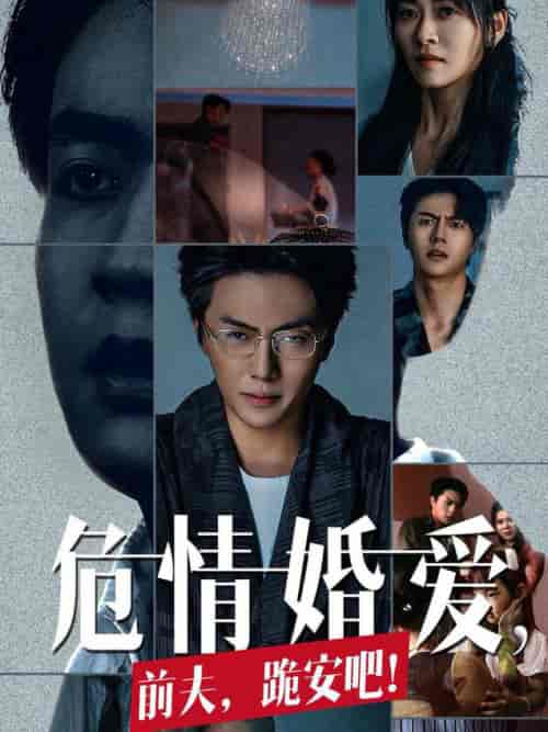 危情婚爱前夫跪安吧(80集全)张磊&诸玲颖-搜外项目网