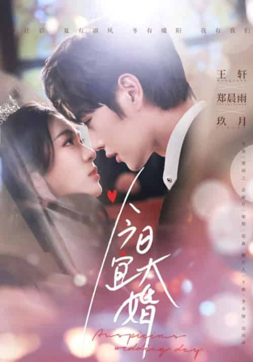 今日宜大婚（59集）王轩＆郑雨晨-搜外项目网