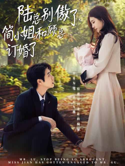 陆总别傲了,简小姐和顾总订婚了(89集)马烁棋&林七月-搜外项目网