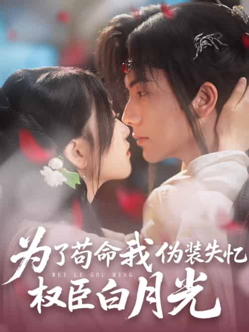 为了苟命我伪装失忆权臣白月光（74集）刘轩＆陈奕汐-搜外项目网