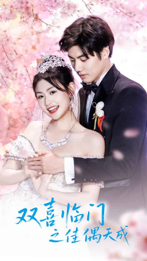 双喜临门之佳偶天成（42集）刘浔-搜外项目网