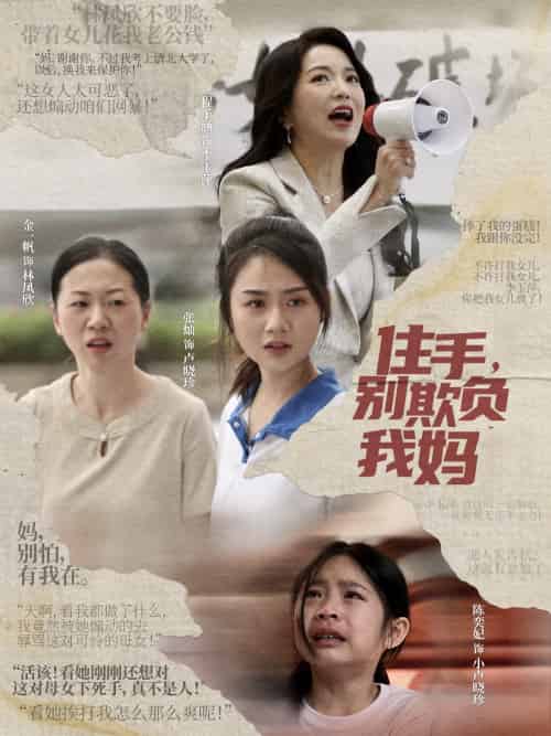 住手,别欺负我妈(30集)张灿-搜外项目网