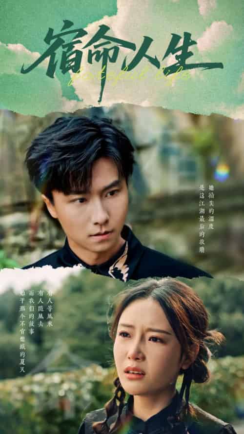 宿命人生（60集）王振＆刘思蝶衣-搜外项目网