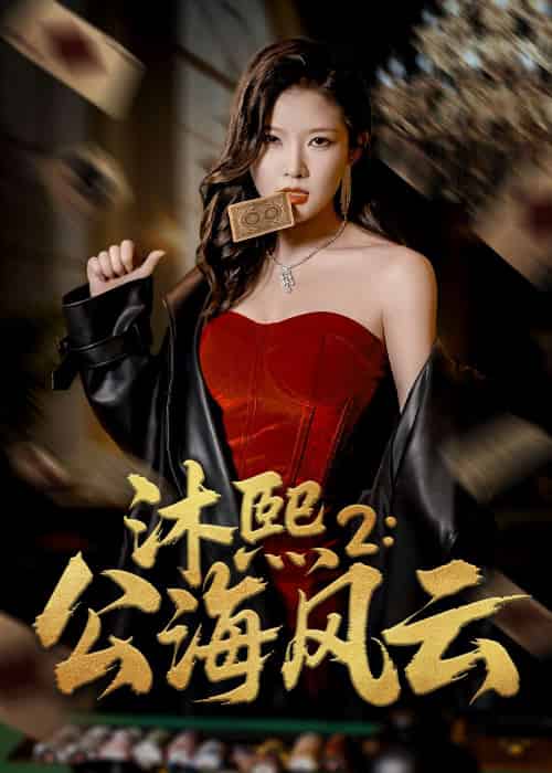 沐熙2公海风云（45集）刘灿＆李雨泽-搜外项目网
