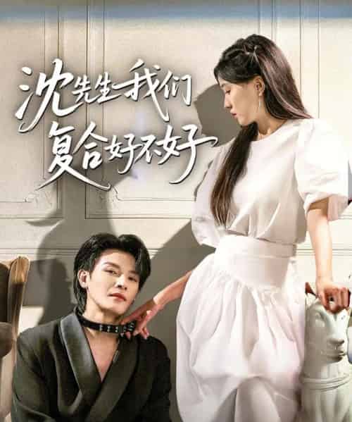 沈先生我们复合好不好（60集）李彬航＆刘玉姣-搜外项目网