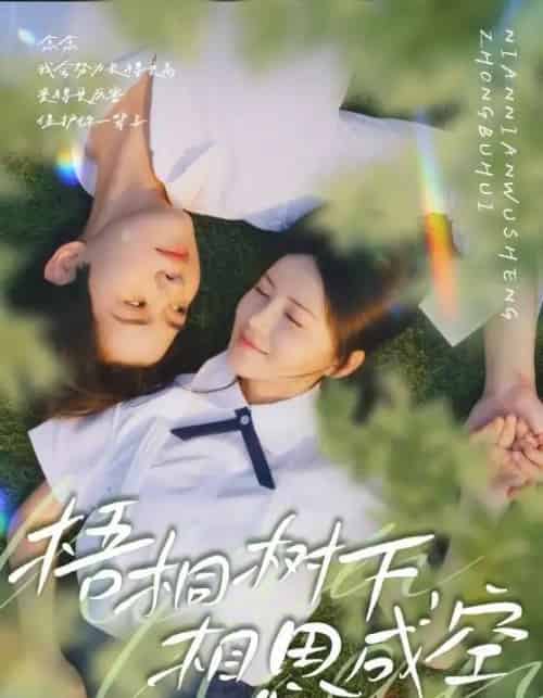 梧桐树下，相思成空（69集全）游雅＆刘家铭-搜外项目网