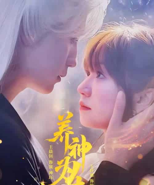 养神为夫（65集）王晨钊＆王阡惠-搜外项目网