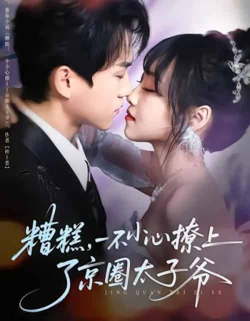 糟糕，一不小心撩上了京圈太子爷（65集全）郭澈＆李沁雨-搜外项目网